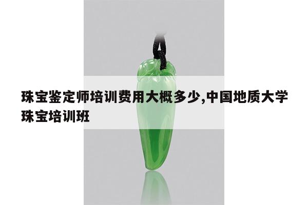 珠宝鉴定师培训费用大概多少,中国地质大学珠宝培训班