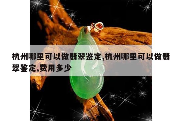 杭州哪里可以做翡翠鉴定,杭州哪里可以做翡翠鉴定,费用多少