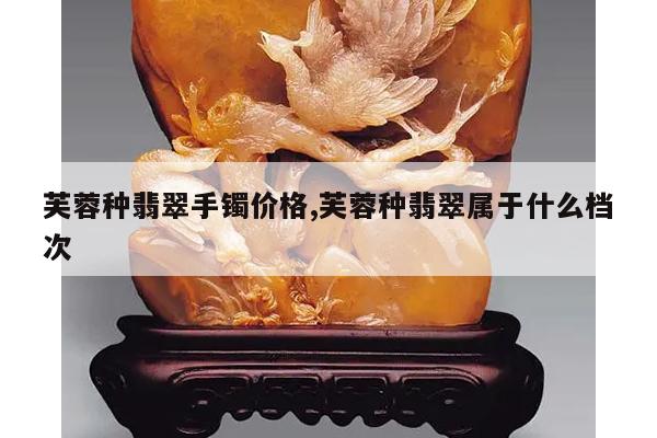 芙蓉种翡翠手镯价格,芙蓉种翡翠属于什么档次