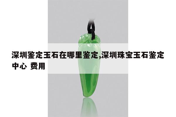 深圳鉴定玉石在哪里鉴定,深圳珠宝玉石鉴定中心 费用