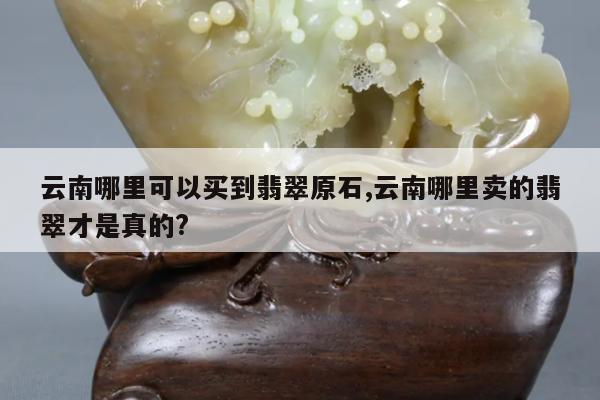 云南哪里可以买到翡翠原石,云南哪里卖的翡翠才是真的?