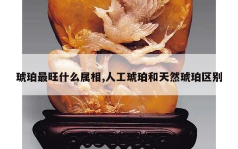 琥珀最旺什么属相,人工琥珀和天然琥珀区别