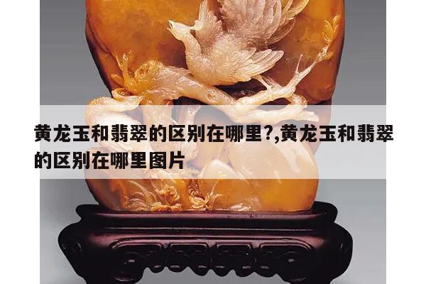 黄龙玉和翡翠的区别在哪里?,黄龙玉和翡翠的区别在哪里图片