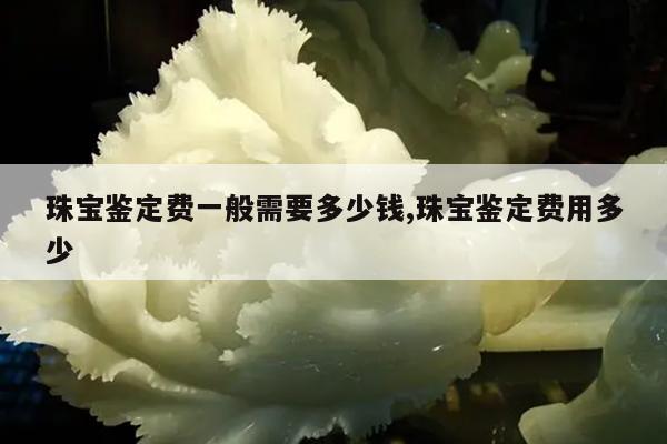 珠宝鉴定费一般需要多少钱,珠宝鉴定费用多少