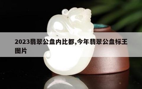 2023翡翠公盘内比都,今年翡翠公盘标王图片