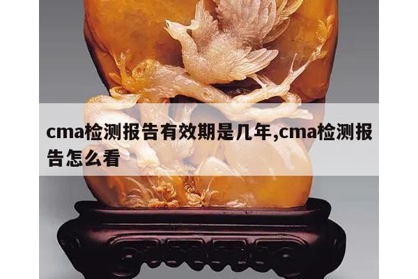 cma检测报告有效期是几年,cma检测报告怎么看
