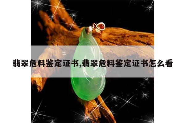 翡翠危料鉴定证书,翡翠危料鉴定证书怎么看