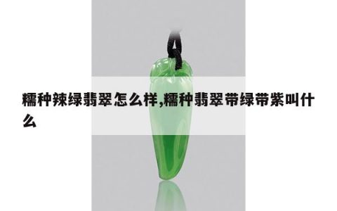 糯种辣绿翡翠怎么样,糯种翡翠带绿带紫叫什么