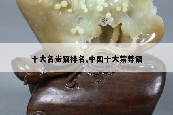 十大名贵猫排名,中国十大禁养猫