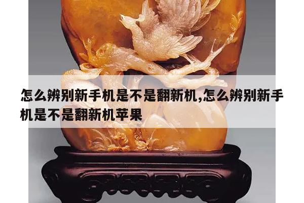 怎么辨别新手机是不是翻新机,怎么辨别新手机是不是翻新机苹果