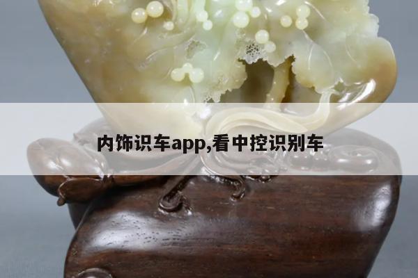 内饰识车app,看中控识别车
