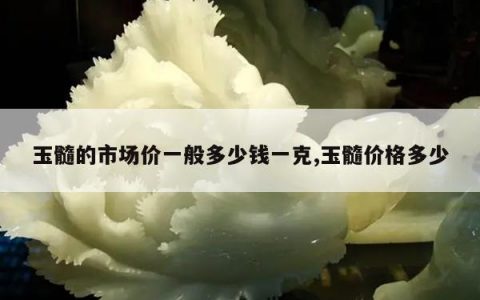 玉髓的市场价一般多少钱一克,玉髓价格多少