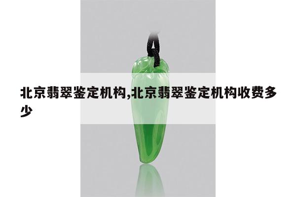 北京翡翠鉴定机构,北京翡翠鉴定机构收费多少