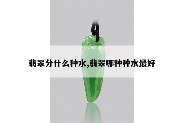 翡翠分什么种水,翡翠哪种种水最好