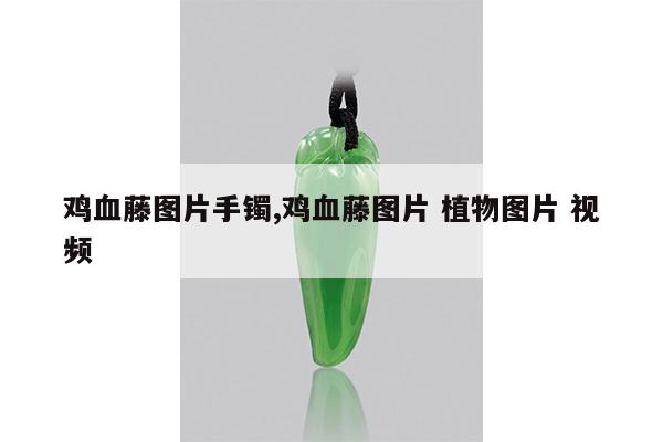 鸡血藤图片手镯,鸡血藤图片 植物图片 视频