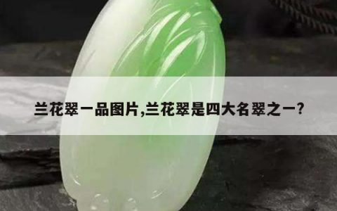 兰花翠一品图片,兰花翠是四大名翠之一?