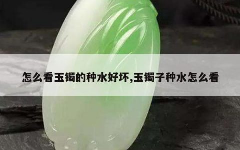 怎么看玉镯的种水好坏,玉镯子种水怎么看