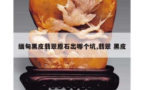 缅甸黑皮翡翠原石出哪个坑,翡翠 黑皮