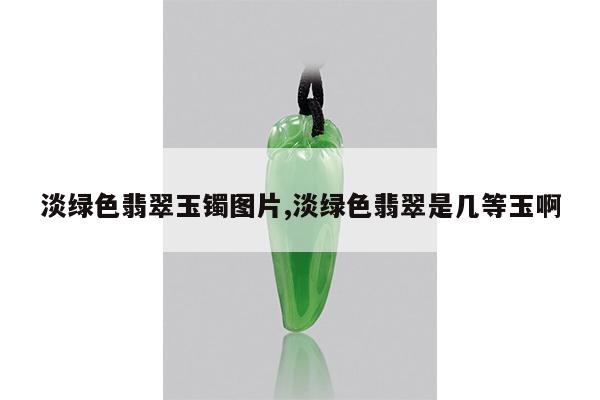 淡绿色翡翠玉镯图片,淡绿色翡翠是几等玉啊
