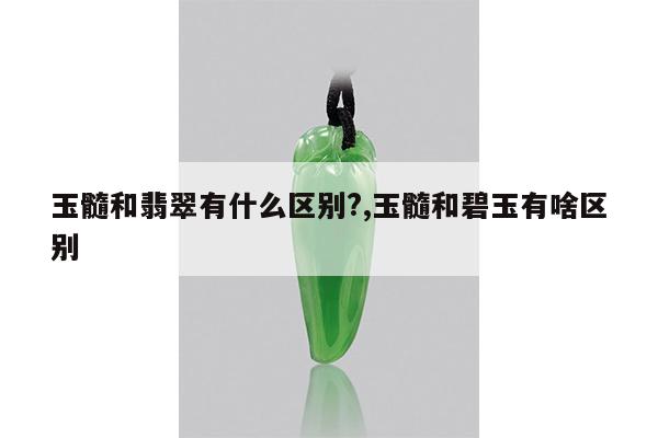 玉髓和翡翠有什么区别?,玉髓和碧玉有啥区别