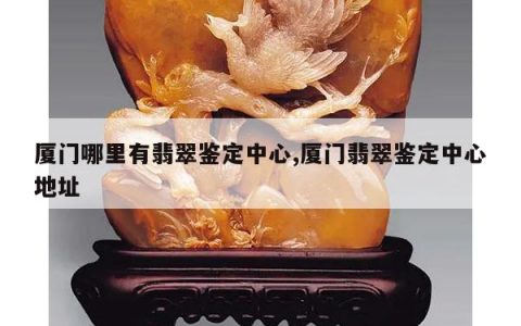 厦门哪里有翡翠鉴定中心,厦门翡翠鉴定中心地址