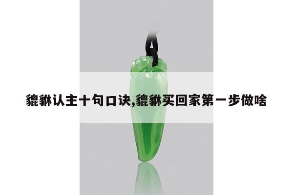 貔貅认主十句口诀,貔貅买回家第一步做啥