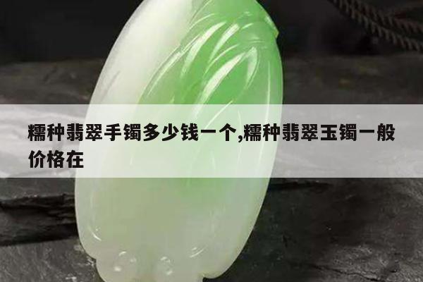 糯种翡翠手镯多少钱一个,糯种翡翠玉镯一般价格在