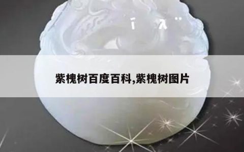 紫槐树百度百科,紫槐树图片