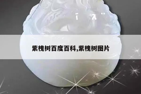 紫槐树百度百科,紫槐树图片