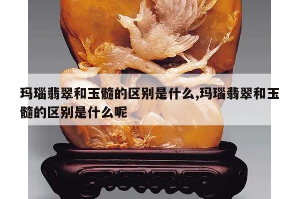 玛瑙翡翠和玉髓的区别是什么,玛瑙翡翠和玉髓的区别是什么呢