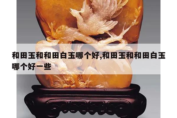 和田玉和和田白玉哪个好,和田玉和和田白玉哪个好一些