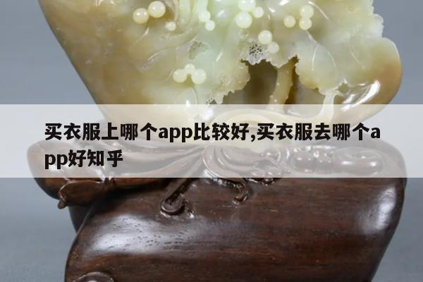 买衣服上哪个app比较好,买衣服去哪个app好知乎