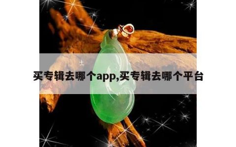 买专辑去哪个app,买专辑去哪个平台
