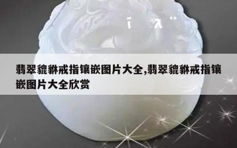 翡翠貔貅戒指镶嵌图片大全,翡翠貔貅戒指镶嵌图片大全欣赏