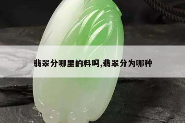 翡翠分哪里的料吗,翡翠分为哪种