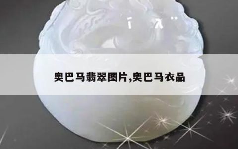 奥巴马翡翠图片,奥巴马衣品
