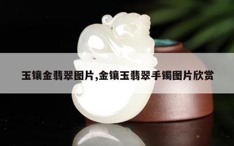 玉镶金翡翠图片,金镶玉翡翠手镯图片欣赏