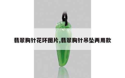 翡翠胸针花环图片,翡翠胸针吊坠两用款