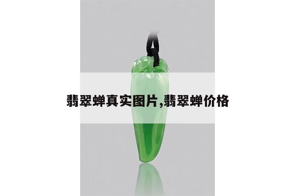 翡翠蝉真实图片,翡翠蝉价格