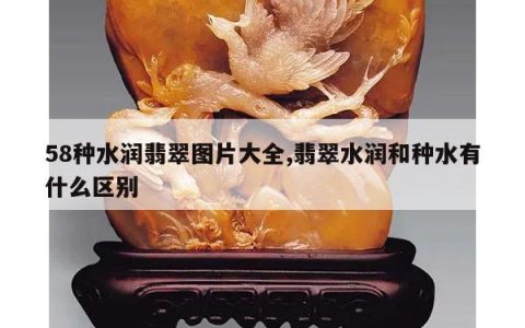 58种水润翡翠图片大全,翡翠水润和种水有什么区别