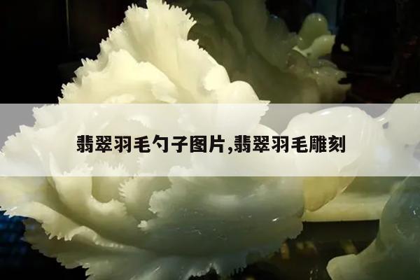 翡翠羽毛勺子图片,翡翠羽毛雕刻