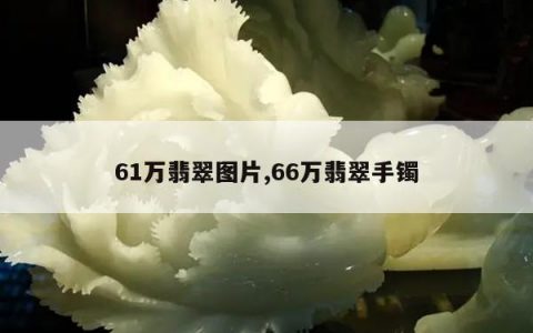 61万翡翠图片,66万翡翠手镯