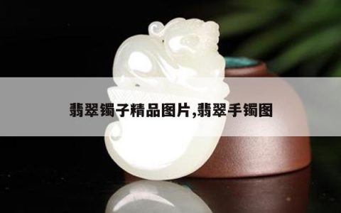 翡翠镯子精品图片,翡翠手镯图