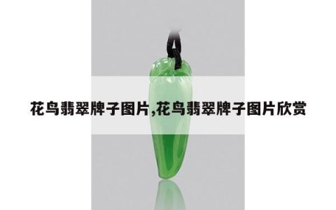 花鸟翡翠牌子图片,花鸟翡翠牌子图片欣赏