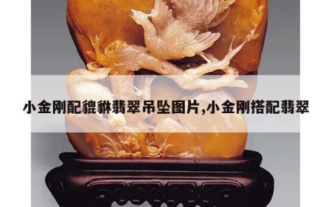 小金刚配貔貅翡翠吊坠图片,小金刚搭配翡翠