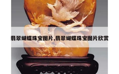 翡翠蝴蝶珠宝图片,翡翠蝴蝶珠宝图片欣赏