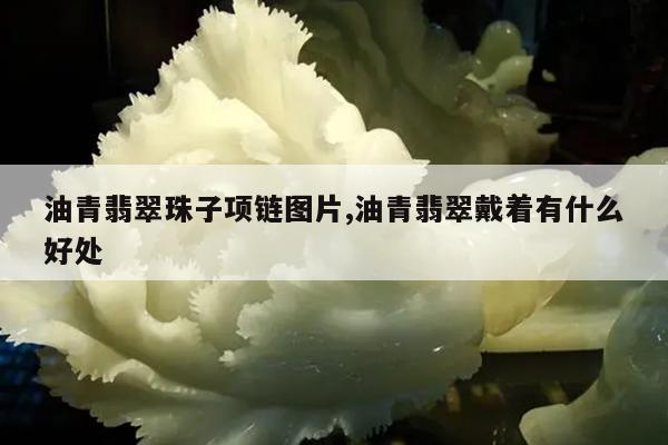 油青翡翠珠子项链图片,油青翡翠戴着有什么好处